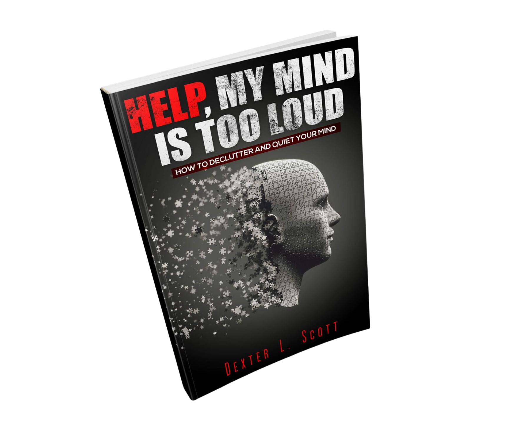 Help, My Mind Is Too Loud - Multiple Copies