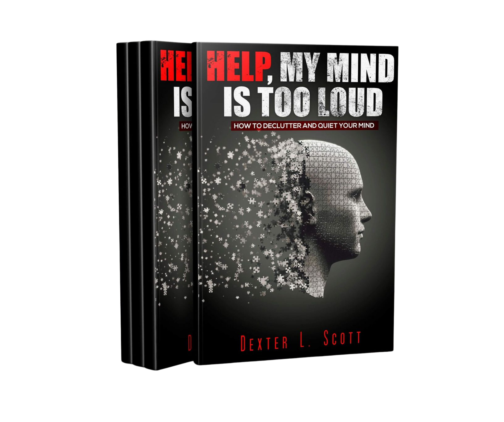 Help, My Mind Is Too Loud - Book Cover